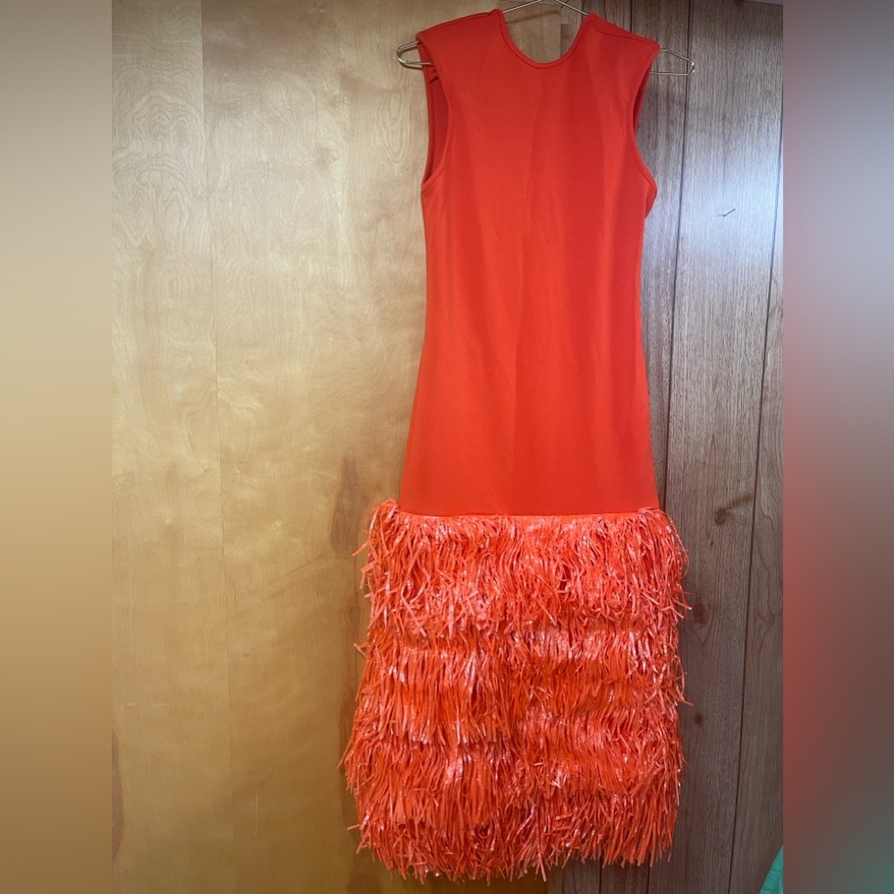 Orange Fringe dress